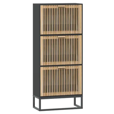 Obrázok produktu pre vidaXL Skriňa na topánky čierna 52x25x120 cm Materiál drevo