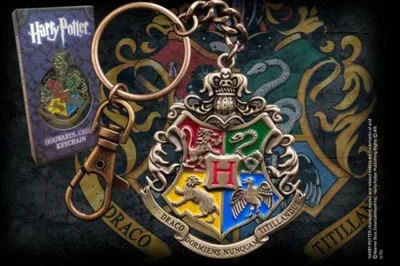 Immagine prodotto di Harry Potter: Hogwarts