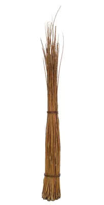 Image de Fagot d'osier décoratif osier naturel env. 120cm - Dekozweige