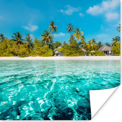 Produktbild von MuchoWow® Poster Strand - Palmen - Meer 50x50 cm - Wohnzimmerdekoration