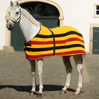 Produktbild von Kavalkade Abschwitzdecke in Größe 155 - Fleece-Abschwitzdecke Deutschland
