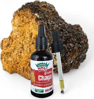 Imagen del producto de Extracto de Chaga (Inonotus obliquus) de la corteza interna, un extracto que favorece la longevidad. 50 ml de extracto natural de hongo Chaga para herabita