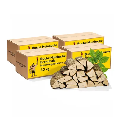 Produktbild von Neandertaler Feuer Brennholz Buche Kaminholz - Buchenholz Grillholz 25 cm 120 kg | Hartholz Feuerholz | Holz für Grill Kamin Smoker Ofen | Firewood