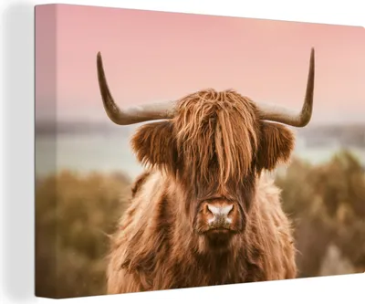 Produktbild von OneMillionCanvasses® - Leinwandbilder - 150x100 cm, Kuh - Schottisches Hochlandrind - Tier, Wandbilder Kunstdruck Wanddekoration - Foto auf Leinwand - Gemälde auf Holzrahmen