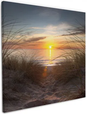 Produktbild von Wallario Premium Leinwandbild Sonnenuntergang am Strand in Größe 50 x 50 cm