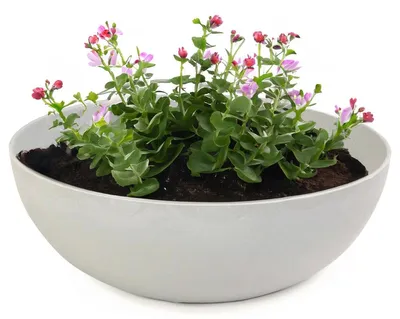 Image de Jardinières pour l'extérieur Jardinières décoratives rondes beige gris 20 cm