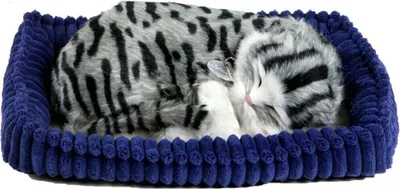 Produktbild von Perfect Petzzz graugetigerte Katze 92561