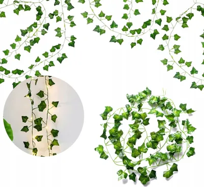 Image de 6 feuilles de lierre pour la couronne