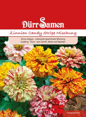Produktbild von Dürr-Samen - Zinnie Candy Stripe Mix einjährig 70 cm - Saatgut - 1936