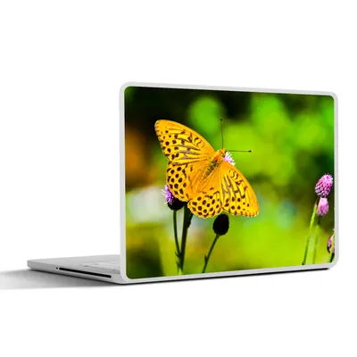 Produktbild von MuchoWow® Laptop Aufkleber Sticker Cover Schmetterling - Tiger - Blume 36.5x27.5 cm - Laptop-Sticker