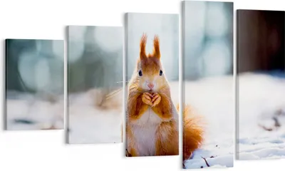 Produktbild von Bild auf Leinwand - Leinwandbild - Eichhörnchen Winter Schnee Essen - 100x60cm - Wand Bild - Wanddeko - Leinwanddruck - Bilder - Kunstdruck - Leinwand bilder - Wandkunst - EG100x60-2798