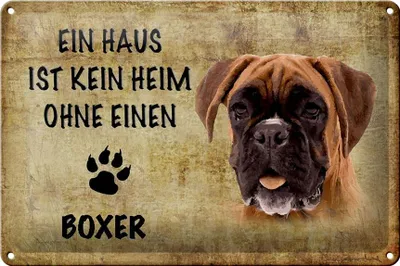 Produktbild von Blechschild Spruch 30x20cm Boxer Hund ohne kein Heim