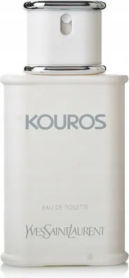 Produktbild von Yves Saint Laurent Kouros, Männer, 100 ml, 1 Stück(e)