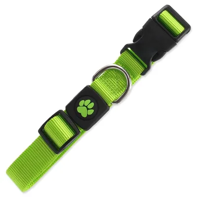 Image de Collier Active Dog Premium L citron vert 2,5 x 45-68 cm