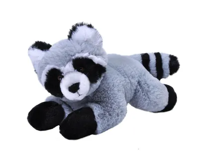Produktbild von Wild Republic 24808, Spielzeug-Waschbär