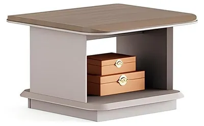 Image de Table basse moderne en bois marron avec espace de rangement, pour le salon et le bureau