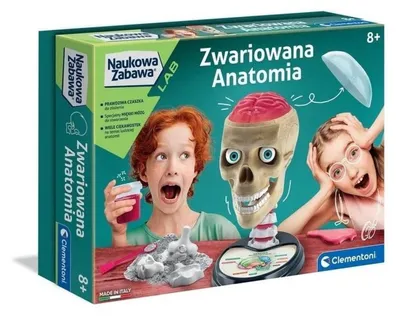 Productafbeelding van Wetenschappelijk plezier Crazy Anatomy Kit Poolse taal Clementoni 50697