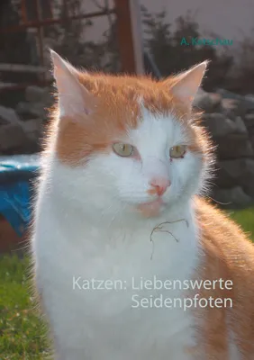 Produktbild von Katzen: Liebenswerte Seidenpfoten