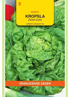 Obrázok produktu pre Oranjeband, hlávkový šalát, odroda "Fürchtenichts" - 1 balenie semien