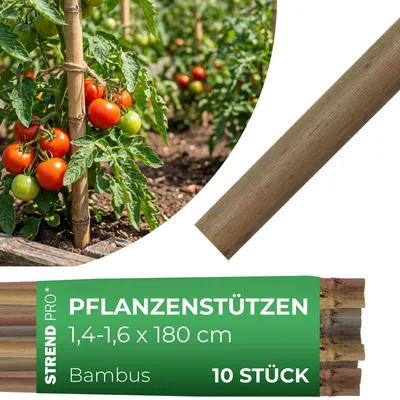 Produktbild von Stab Garden KBT 1800/14-16 mm, Pack. 10 Stk., Bambus, Stützstab für Pflanzen
