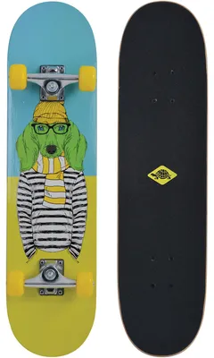 Produktbild von Skateboard KICKER 31Ž Green Dog