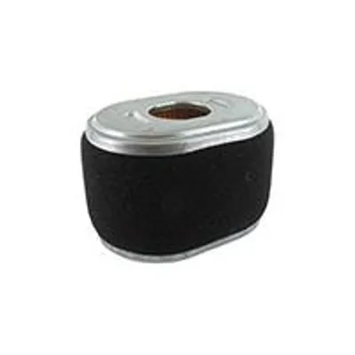 Image de Filtre à air Briggs & Stratton. Origine 590601.