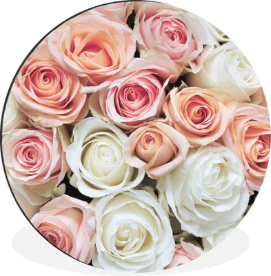 Produktbild von MuchoWow® Aluminium Wandkreis Rosen - Blumen - Weiß - Rosa Ø 60 cm Wanddeko Modern Wohnzimmer - Wand Kreis - Wandbild - Schlafzimmer - Aluminium Bild - Kinderzimmer - Wohnzimmer Dekoration - Wandschmuck