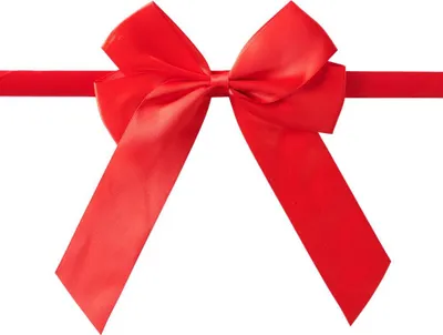 Immagine prodotto di Nastro regalo per il cavallino - rosso