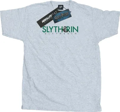 Produktbild von Harry Potter - "Slytherin" T-Shirt für Herren BI29256 (3XL) (Grau)