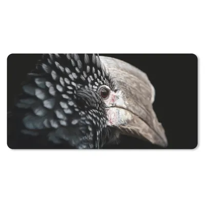 Produktbild von MuchoWow® Mauspad Mousepad Vogel - Schnabel - Federn 60x30 cm - Mousepads - Maus Mat - Pad - Mausunterlage - Nachhaltig