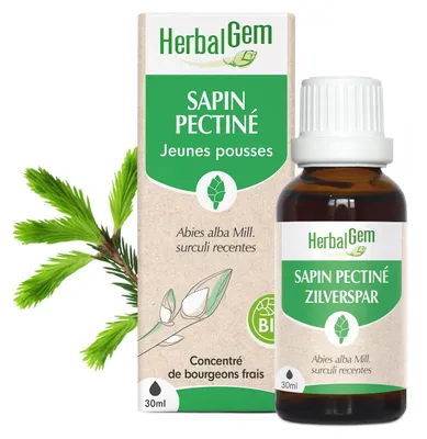 Productafbeelding van Herbalgem - Pijnboomknopjes - Biologisch - 30 ml