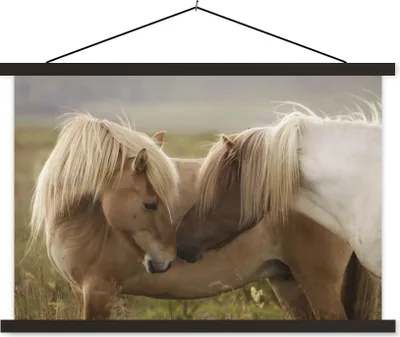 Produktbild von MuchoWow® Textilposter Pferde - Gras - Braun 120x80 cm mit schwarzem Rahmen - Wanddeko