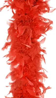 Immagine prodotto di Boa di piume - Accessorio per costumi di Carnevale 180cm rosso