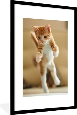 Produktbild von MuchoWow® Gerahmtes Poster Eine Nahaufnahme eines springenden Kätzchens 60x90 cm - Poster mit Schwarzem Bilderrahmen Wandposter Rahmen Foto Bilder - Dekoration - Wandposter Wohnzimmer - Hochwertig