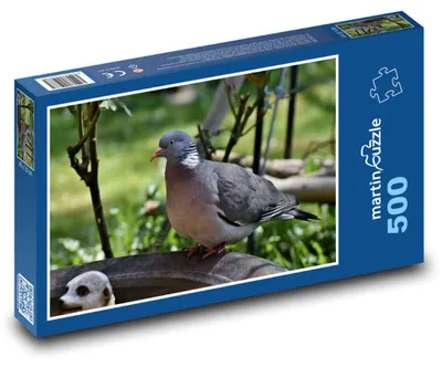 Zdjęcie produktu dla Puzzle 500 Gołąb w ogrodzie - martinpuzzle