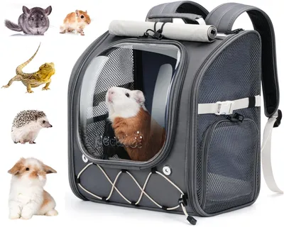 Kleintier-Rucksack, atmungsaktiv, 32x22x36 cm, für Hamster, Kaninchen, grau