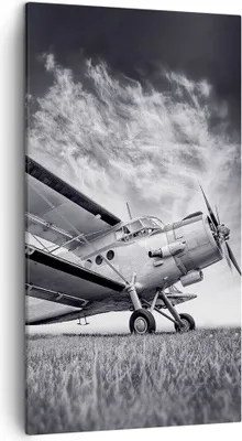 Produktbild von Bild auf Leinwand - Leinwandbild - Einteilig - Flugzeug An-2 Schwarzweiß - 45x80cm - Wand Bild - Wanddeko - Wandbilder - Leinwanddruck - Bilder - Wanddekoration - Leinwand bilder - PA45x80-4363