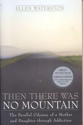 Produktbild von Then There Was No Mountain