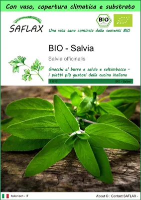 Immagine prodotto di SAFLAX Garden to go -- Salvia - 60 semi - Salvia