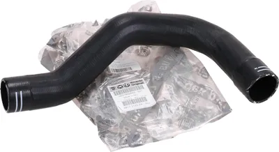 Image de Tuyau d'air de suralimentation 51892659