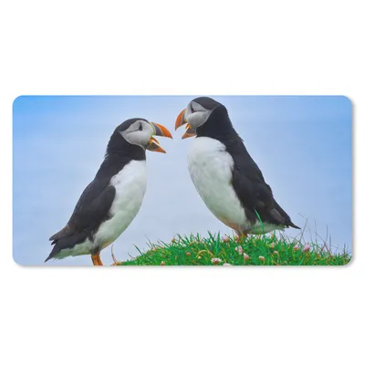 Produktbild von MuchoWow® Schreibtischunterlage Tiere - Vögel - Papageientaucher 80x40 cm - XXL Mauspad - Gaming Mauspad