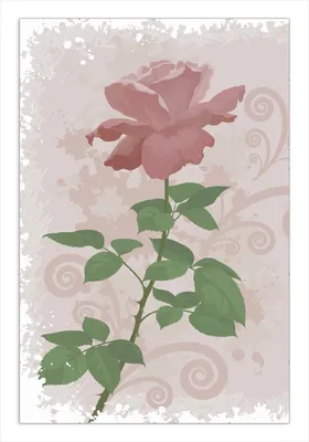 Produktbild von Wallario Wandbild Rose in Pastellfarben gezeichnet, Größe: 61 x 91,5 cm, Poster mit rahmenlosen Bildhalter