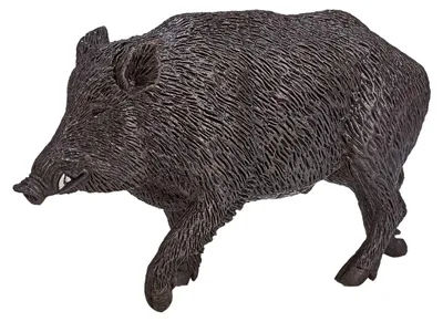 Zdjęcie produktu dla Mojo Fun Wild Boar, 3 lat(a), Wildlife, Brązowy, Czarny, Polichlorek winylu (PVC)