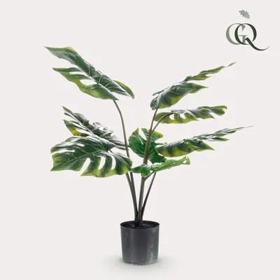 Image de Green boutiQ - Monstera Deliciosa - kunstplant - 65 cm - Vert - Sans entretien - Haute qualité