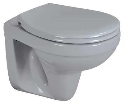 Produktbild von sanicomfort Wand-WC manhattan spülrandlos, Tiefspüler, Abgang waagrecht, mit WC-Sitz mit Absenkautomatik