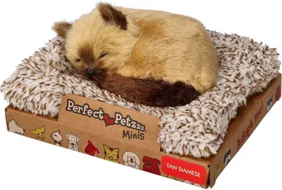 Zdjęcie produktu dla Perfect Petzzz Mały kociak syjamski 13 cm