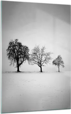 Produktbild von Bilder auf glas - Einteilig - Winter Bäume Schnee - 50x70cm - Glasbilder - Wandbilder - Bilder - zum Aufhängen bereit - Wanddekoration aus Glas - Glas Bilder - Wandbild auf Glas - GPA50x70-4958