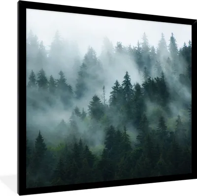 Produktbild von MuchoWow® Gerahmtes Poster Nebel - Bäume - Wald 40x40 cm - Poster mit Schwarzem Bilderrahmen Wandposter Rahmen Foto Bilder - Mit Rahmen - Wanddekoration Schlafzimmer
