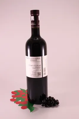 Produktbild von Merlot Antiope' - 2024 - Weingut Morandell