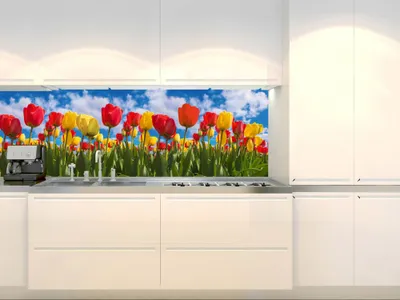 Zdjęcie produktu dla Dimex fototapety do kuchni, samoprzylepne KI-180-131 Pole tulipanów 60 x 180 cm